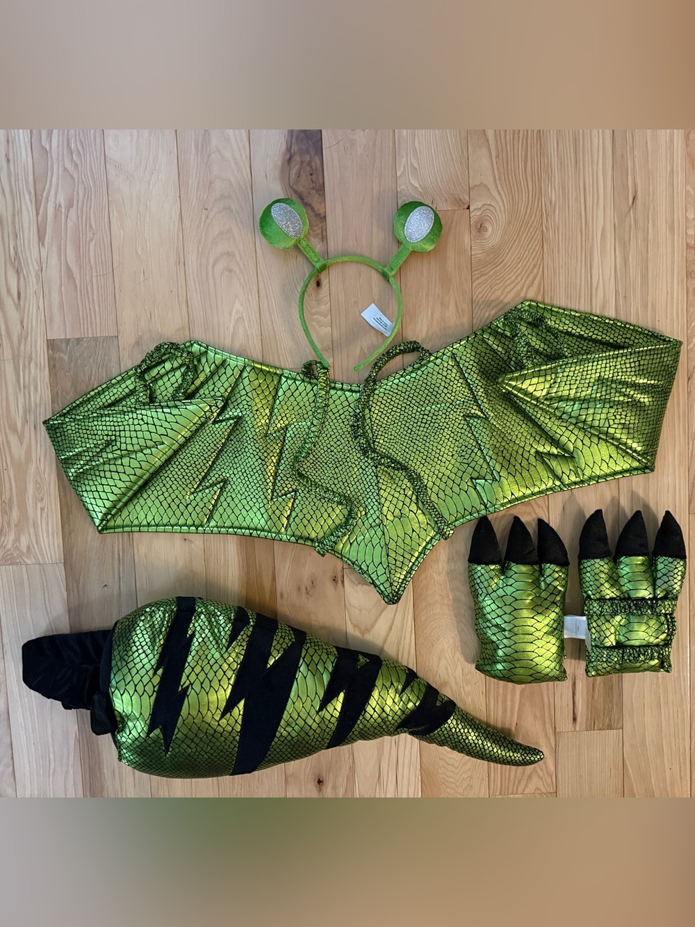 Hanna Andersson Multi Piece Monster Dinosaur Dragon Costume